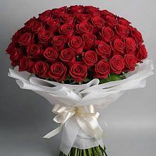 Букет 101 Красная роза Блэк Мэджик в Савинский