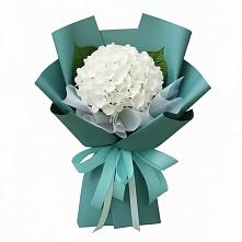 Букет цветов из:  Гортензия #REPLACE_PRED# Савинский